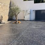 hormigon impreso denia